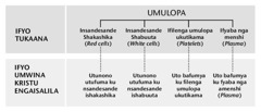 [Charti pe bula 216]