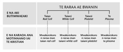 Taibora n iteraniba 247