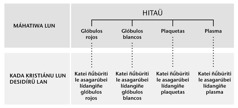 Kuaduru lánina ariñahani le lídanbei páhina 216