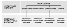 216-беттеги таблица