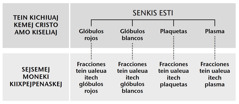 Esti, naui componentes, fracciones tein ualeua itech esti