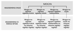 Mogya, nuhua ninyɛne titili nna ne, nee mogya nu ninyɛne ngyikyi ngyikyi