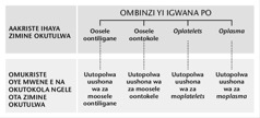 Omusholondondo pepandja 216