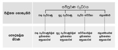 රුධිරය, රුධිරයේ ප්‍රධාන කොටස් හතර, රුධිරයේ අනුකොටස්