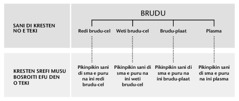 Schema na tapu bladzijde 247 di e tyari sani kon na krin