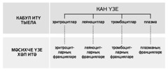 216 нчы биттәге схема