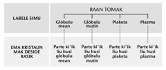 Tabela iha pájina 216