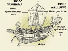 Wato wakushikulu navihanda vyawo viwana, kuputukila kutongo yakunyima nakuya kutongo yakulutwe. 1. Vilapo. 2. Lihina lyakutambukisa wato. 3. Vikungo vyakwimikisa wato. 4. Lihina lyakulutwe.