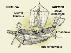 Umkhumbi wakadzeni kanye netincenye tawo letine kusuka ngemuva kuye ngembili. 1. Tintfo tekugwedla. 2. Liseyili lelikhulu. 3. Emahhuka. 4. Liseyili lelingembili.