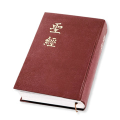 Una Biblia en chino