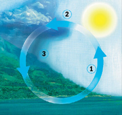 El cicle de l’aigua