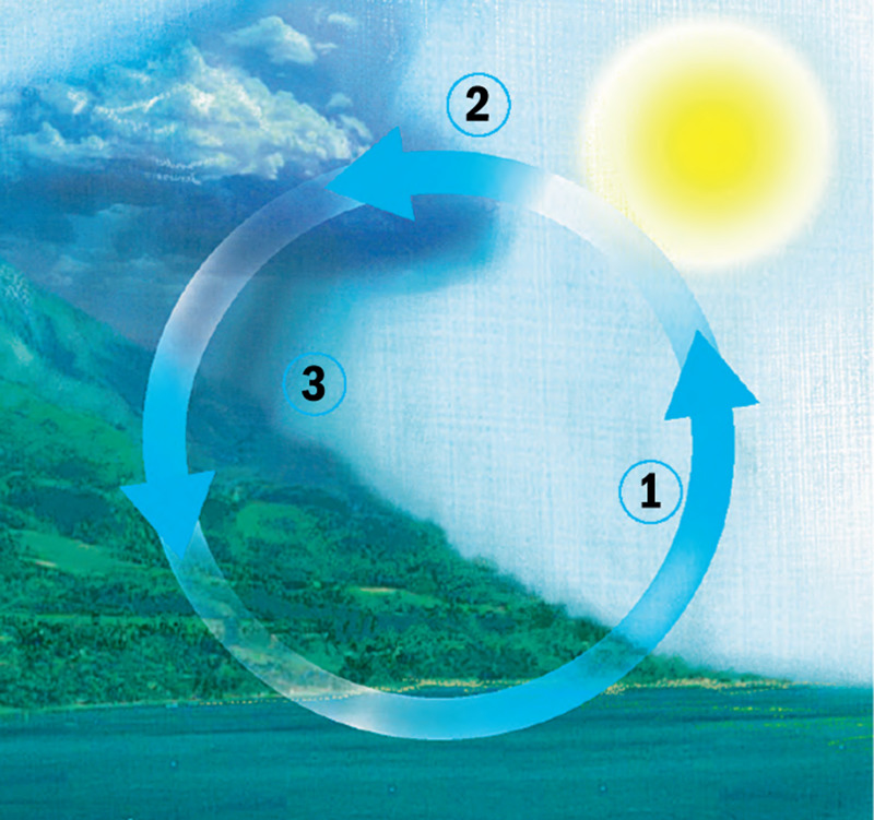 El ciclo del agua