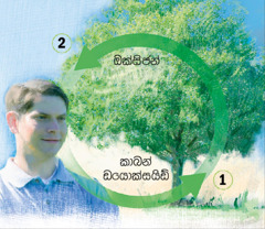 කාබන් හා ඔක්සිජන් චක්‍ර