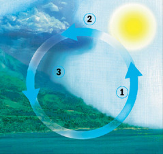 O ciclo da água