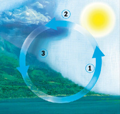 El cicle de l’aigua