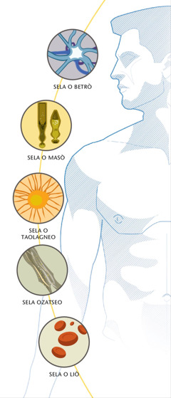 Sela o betrò, sela o masò, sela o taolagneo, sela ozatseo, selao o liò