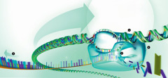 Dna der bliver læst af rna