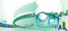 DNA dibaca oleh RNA