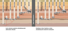 Animalia mota desberdinen arteko ustezko harremanak erakusten dituen grafikoa