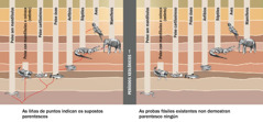 Un gráfico mostra os supostos parentescos entre diferentes clases de animais.