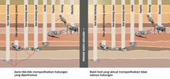 Garis titik-titik yang memperlihatkan hubungan yang diperkirakan antar berbagai jenis binatang