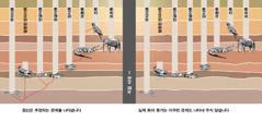 서로 다른 종의 동물들 사이에 추정되는 관계를 보여 주는 그래프