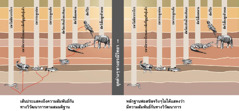 แผน​ภาพ​แสดง​ถึง​ความ​สัมพันธ์​กัน​ของ​สัตว์​ชนิด​ต่าง​ๆ​ทาง​วิวัฒนาการ​ตาม​สม​มติ​ฐาน