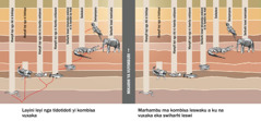 Girafi leyi kombisaka vuxaka bya swiharhi lebyi ku vuriwaka leswaku byi kona