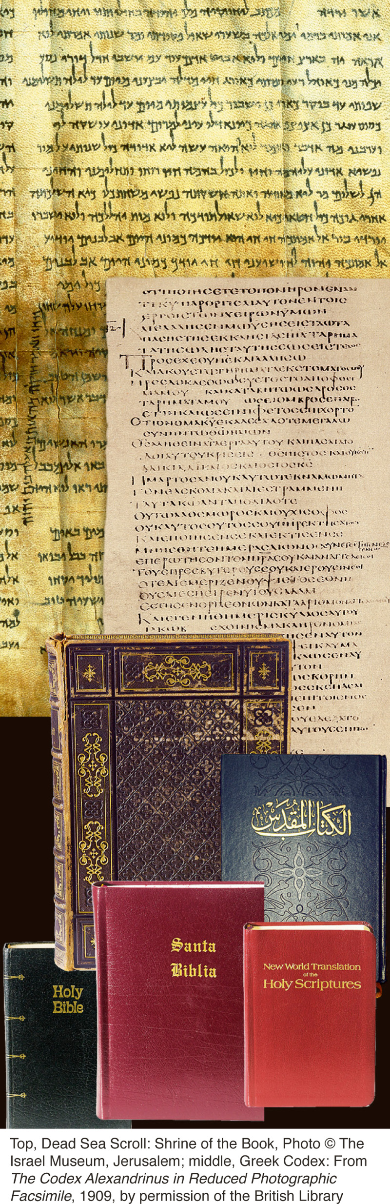 Varios ejemplares de la Biblia y manuscritos antiguos