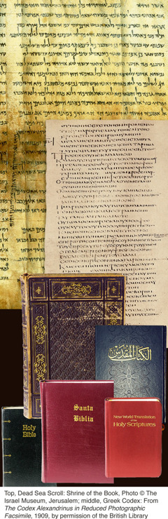 Various copies of the Bible and ancient Bible writings