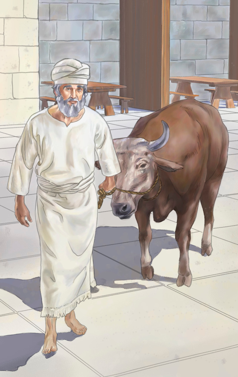 Un prêtre de l’Israël antique amène un animal à l’autel pour le sacrifier
