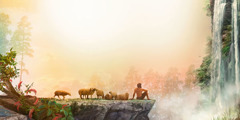 Abel avec son troupeau de moutons, observe la création