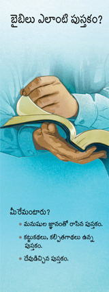 బైబిలు గురించి మీ అభిప్రాయం ఏంటి? కరపత్రం కవరు పేజీ