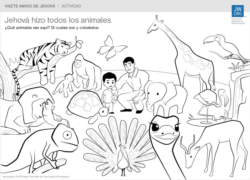 Resultado de imagen de DIOS CREO LOS ANIMALES