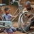 Татко и син заедно го поправаат велосипедот