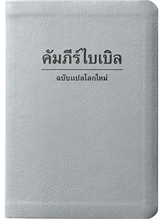 ภาพ​หน้า 8