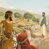 Jesus Begins to Make Disciples | Life of Jesus