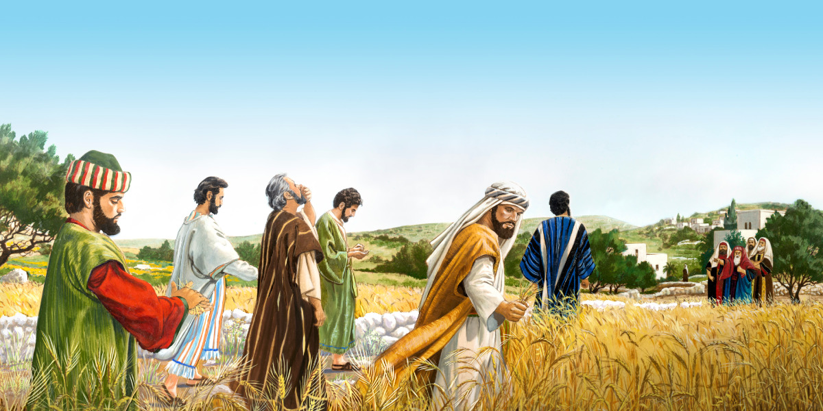 Plucking Grain on the Sabbath | Life of Jesus