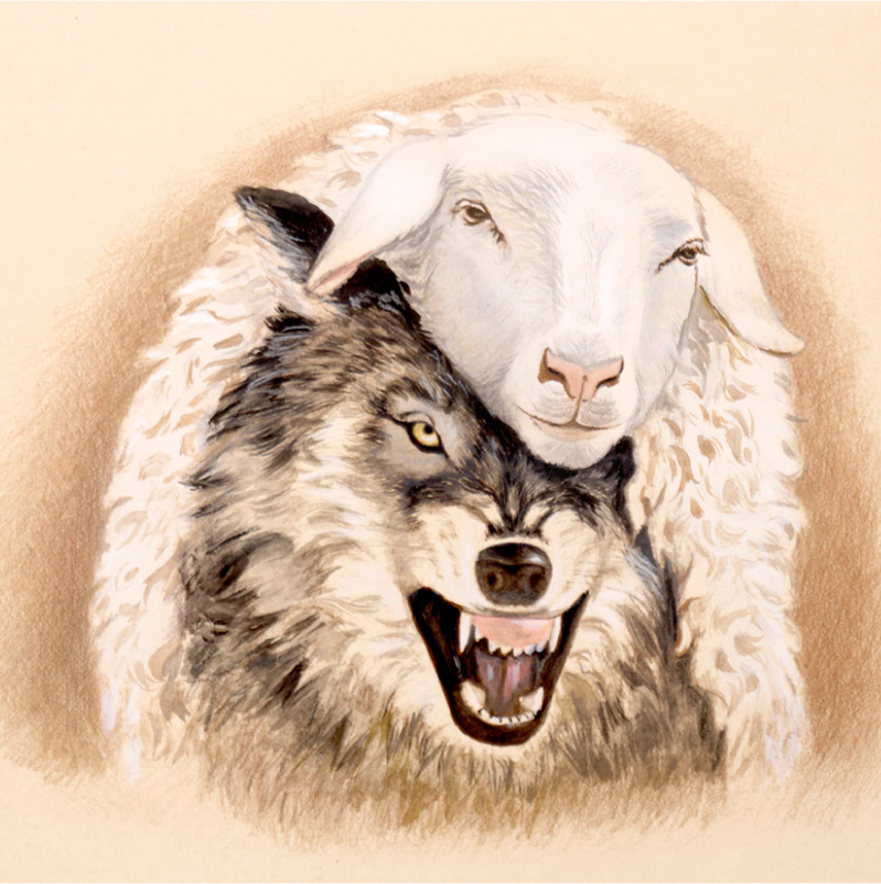 Um lobo em pele de ovelha