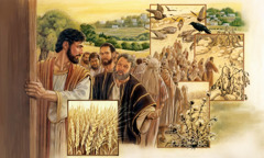 Jesus explains to his disciples the illustration of seed sown on various kinds of soil