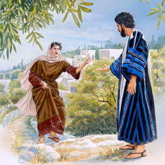 Martha runs to meet Jesus