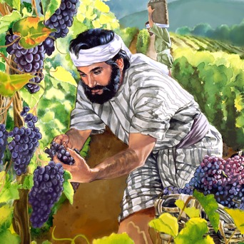 葡萄園工人的比喻| 耶穌的一生