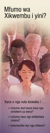 Xifunengeto xa xiphephana lexi nge, Mfumo wa Xikwembu i yini