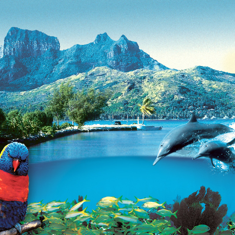 La creación de Dios: montañas, un lago, peces, pájaros, delfines y árboles