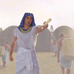 يوسف يوجه العمال الذين يجمعون الطعام