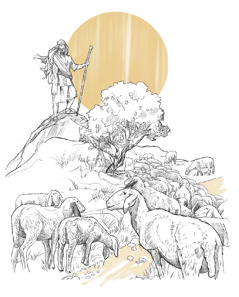 רועה עומד על סלע גבוה ומשגיח על כבשיו.‏