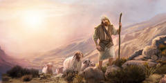 羊飼いが荒野で羊の群れを導いている。