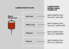 Blood, its four main parts, and blood fractions