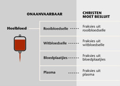 Bloed, die vier hoofkomponente daarvan en bloedfraksies