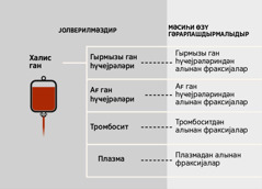 Ган, дөрд әсас һиссәси, ганын фраксијалары